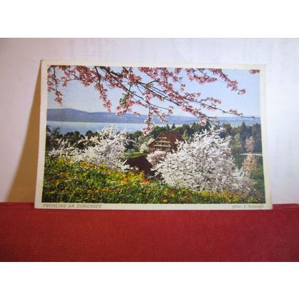 FLOWERS OF LAKE ZURICH, SWITZERLAND used antique postcard 1926 pm =