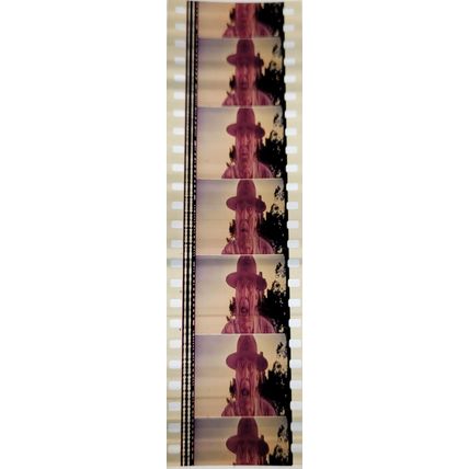 Pk DAU - B - MIX - e 0117M . - 1 STRIP OF 5 - 35MM FILM CELLS. ( )