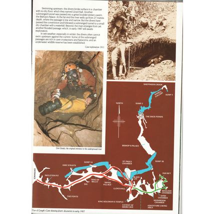 Timeless Cheddar Caves (Guide Book)
