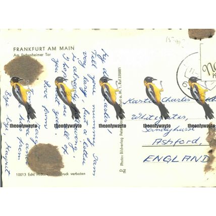 Frankfurt am Main, Am Eschenheimer Tor, Germany, RP Nagel Postcard, 1950s