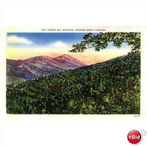 1940's Hawk's Bill Mountain, Western North Carolina