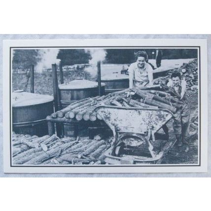 c.1980s PC Land Girls at Charcoal Plant nr Cardiff, c1949