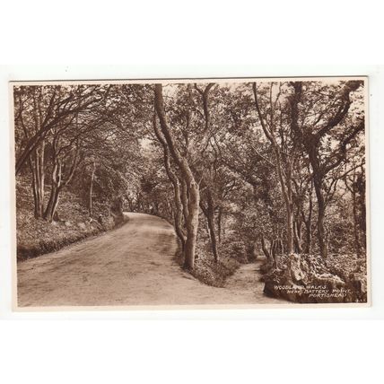 Woodland Walks near Battery Point Portishead Postcard Somerset