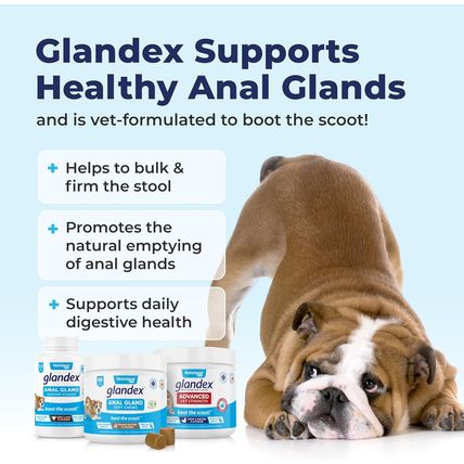 Vetnique Glandex Anal Gland Soft Chew Treats with Pumpkin for Dogs Digestive Enz