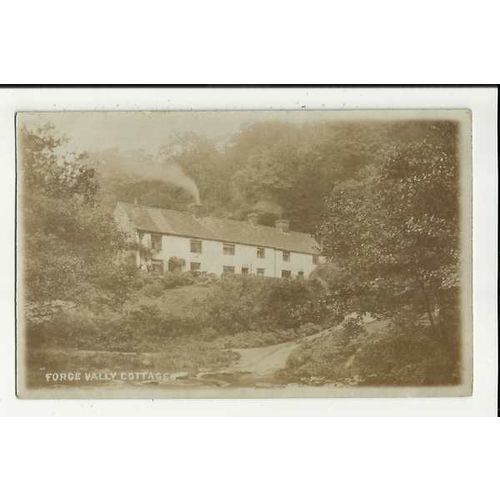 Yorkshire SCARBOROUGH Forge Valley Cottages Postcard