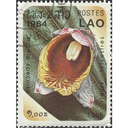 LAOS, FLOWER, Shell flower, yellow 1984, 1k