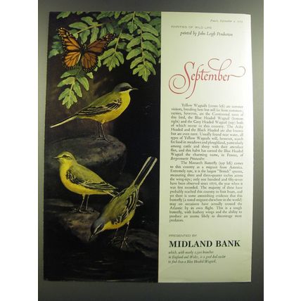 1964 Midland Bank Ad - Rarities of Wild Life - John Leigh Pemberton - September