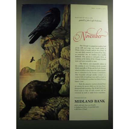 1964 Midland Bank Ad - Rarities of Wild Life - John Leigh Pemberton - November