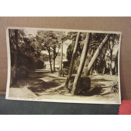 PINE WALK, THE ANCHORAGE, , MUDEFORD, HAMPSHIRE, used vintage postcard 1950 pm =