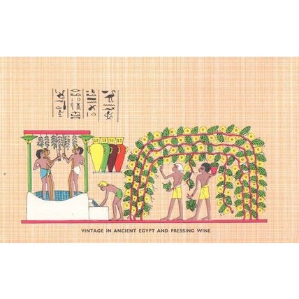 Vintage In Ancient Egypt & Pressing Wine Egyptian Old Postcard