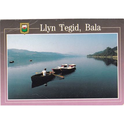 Llyn Tegid Lake Bala Postcard posted crease