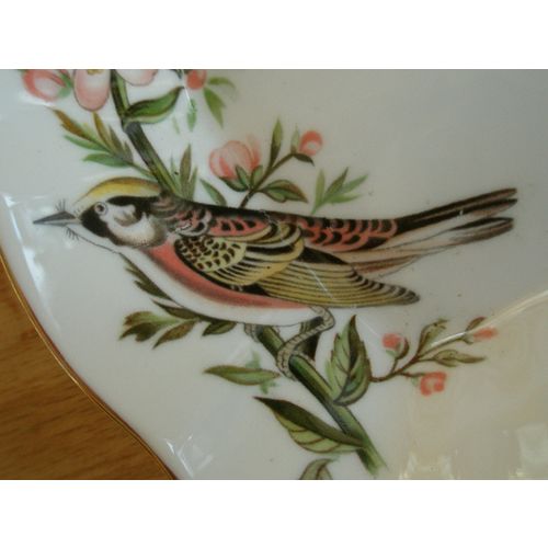 Royal Tuscan Audubon Birds Sweetmeat Dish