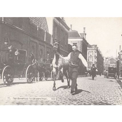 Paardenverkoop Huidekoperstraat in 1902 Postcard