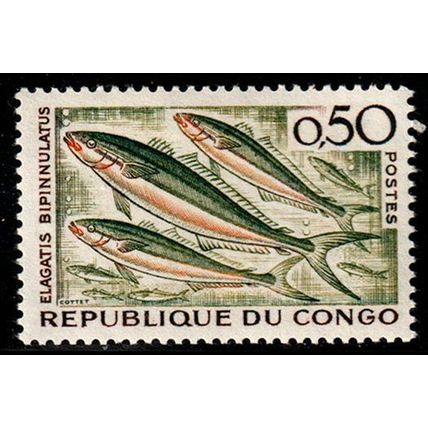 Congo 1961 Tropical Fish 50c Used Stamp