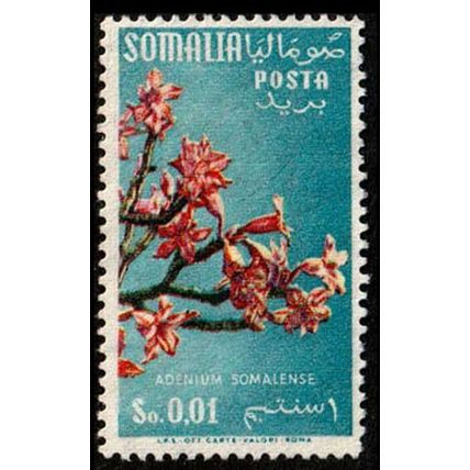 Somalia 1955 Flowers So 0,01 Used Stamp.