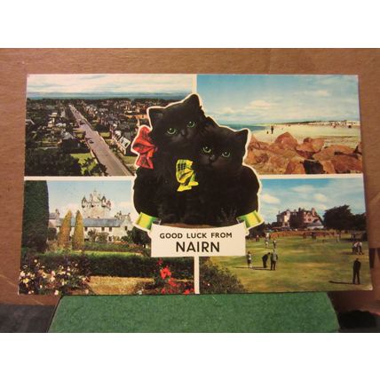 multiview, NAIRN, INVERNESS-SHIRE unused postcard Colourmaster BLACK KITTENS =