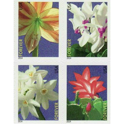Winter Flowers Booklet of 20 First Class Postage Stamps Scott 4865b