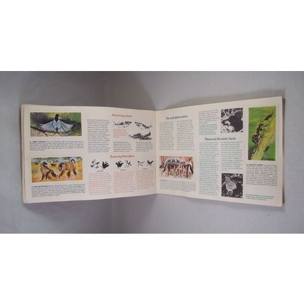 Brooke Bond Tea Card Album: 1976 Wonders of Wildlife, With All Cards