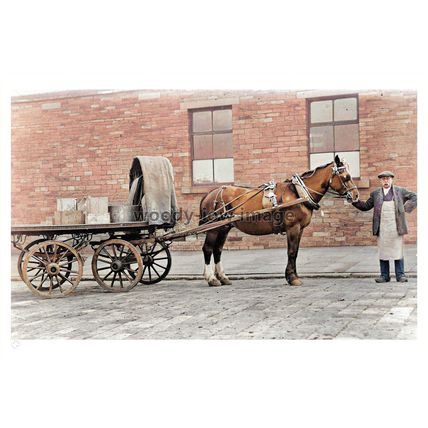 ptc4173 - Yorks - The Bradford Co-operative Delivery Horse & Cart - print 6x4