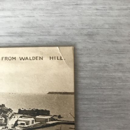 Torquay from Walden Hill Valentines Series Gravure POSTCARD Unused