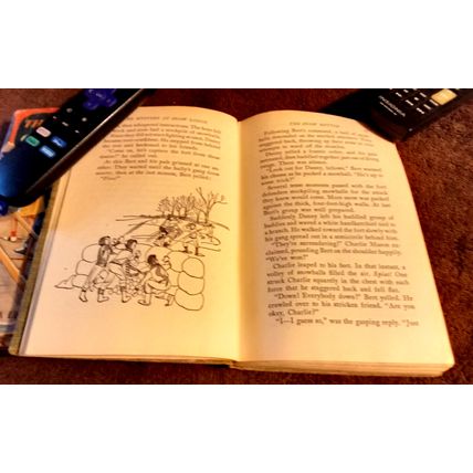 The Bobbsey Twins At Snow Lodge 1960 By Laura Lee Hope Great Shape