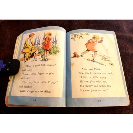 Rides And Slides By Mabel O'Donnell & Alice Carey 1941 Paperback Good Shape
