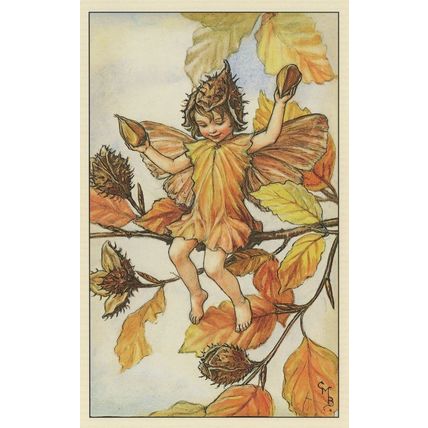 Beechnut Fairy of Autumn Flower Fairies Antique Book Stunning Postcard