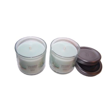 Yankee Candle Aloe & Agave Small Jar Candle Single Wick 4.3 oz - Lot of 2