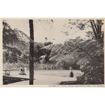 Massey Agricultural College Swimming Pool New Zealand Rare Photo Postcard