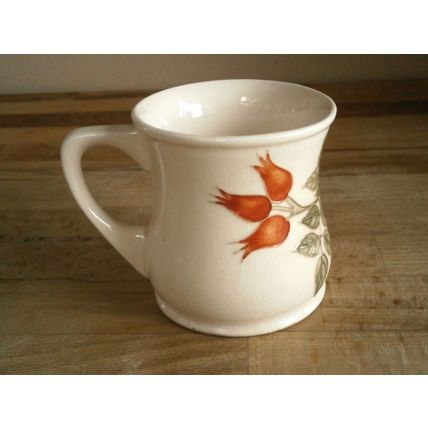 Moorcroft Tube Lined Rose Hip Mug A/F