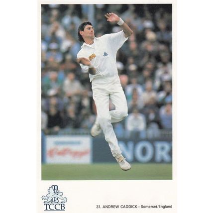 Andrew Caddick Somerset English International Cricket Player Postcard