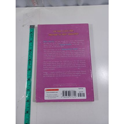 dragon overnight (Upside-Down Magic #4) -paperback 2017 - VERY GOOD