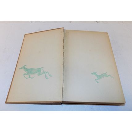 Bambi By Felix Salten Hardcover Book 1929 Publication Grosset & Dunlop