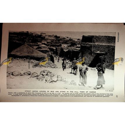 Harrar, Hill Town, Abyssinia (Ethiopia), Book Illustration (Print), c1920