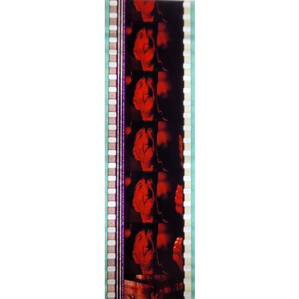 Pk DAU - D - MIX - B 037K . - 1 STRIP OF 5 - 35MM FILM CELLS. ( )