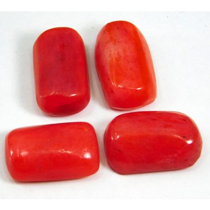 Natural 35.50 Ct Italian Red Coral "Cabochon" Cut Loose Gemstone Lot