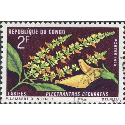 CONGO REP., FLOWER, Plectranthus decurrens, red-black 1970, 26mm