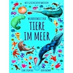 Wunderwelt Der Tiere Im Meer