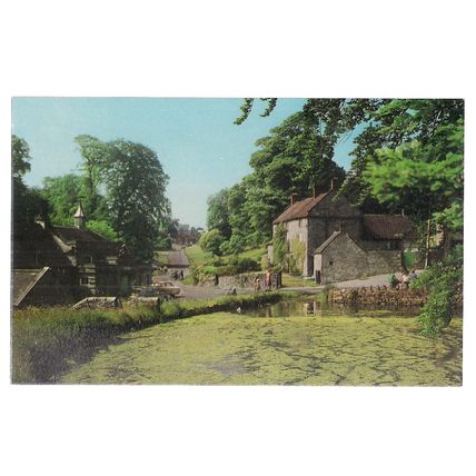 TISSINGTON, DERBYSHIRE unused vintage postcard Colourmaster =