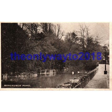Bonchurch Pond, IOW, N & A CB Postcard