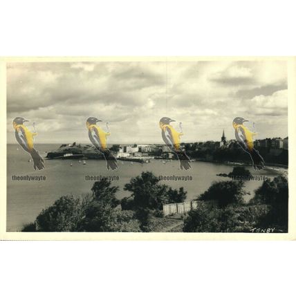 Tenby, Pembrokeshire, Wales, RP Squibbs Postcard