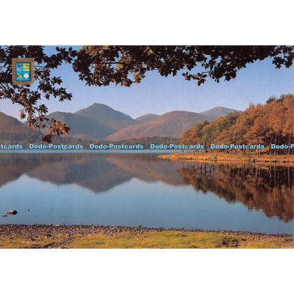 D020552 Derwentwater and Causey Pike. Golden Shield. Sanderson and Dixon