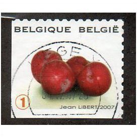 BEL 2007 (52c)(S/A) 'FRUIT- CHERRIES' FINE USED (EBID10396)