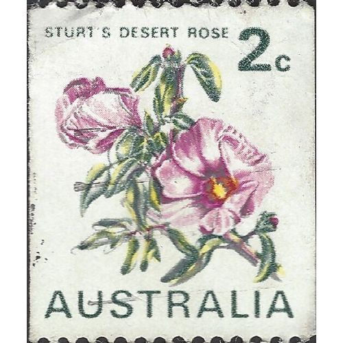 AUSTRALIA, FLOWER, Sturt's Desert Rose, white 1971, 2c