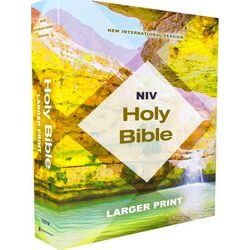Niv, Holy Bible, Larger Print, Economy Edition, Paperback, Teal/Tan, Comfort Pri