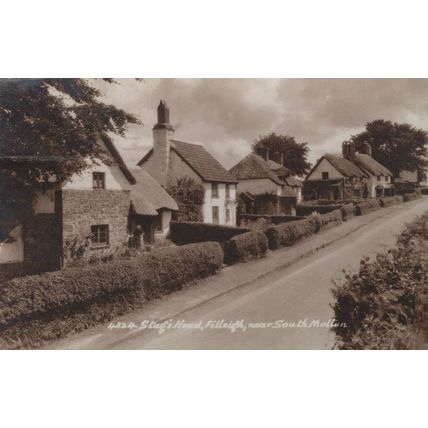 Stags Head Pub Filleigh Nr South Molton Old Postcard