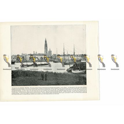 Antwerp Quays, Belgium, Book Illustration (Print), 1899