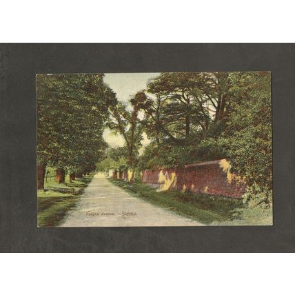 Postcard Kent Sidcup Frognel Avenue 1907