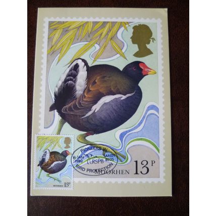 1980 GB Wild Bird Protection Act PHQ card 13p Moorhen Sandy Beds RSPB cancel