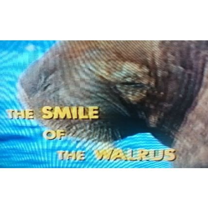 THE SMILE OF THE WALRUS THE UNDERSEA WORLD OF JACQUES COUSTEAU VHS VIDEOTAPE